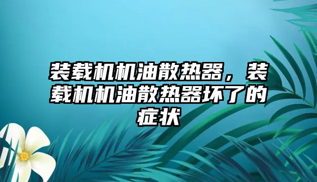 裝載機(jī)機(jī)油散熱器，裝載機(jī)機(jī)油散熱器壞了的癥狀