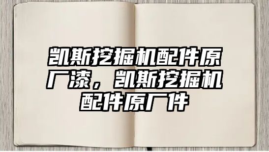 凱斯挖掘機(jī)配件原廠漆，凱斯挖掘機(jī)配件原廠件