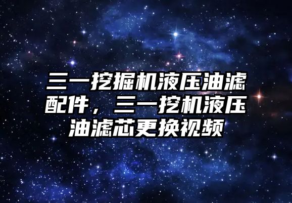 三一挖掘機(jī)液壓油濾配件，三一挖機(jī)液壓油濾芯更換視頻