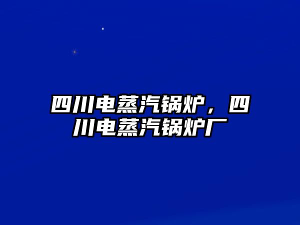 四川電蒸汽鍋爐，四川電蒸汽鍋爐廠