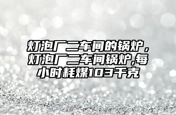 燈泡廠二車間的鍋爐，燈泡廠二車間鍋爐,每小時(shí)耗煤103千克