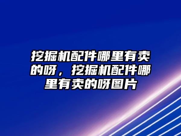 挖掘機配件哪里有賣的呀，挖掘機配件哪里有賣的呀圖片