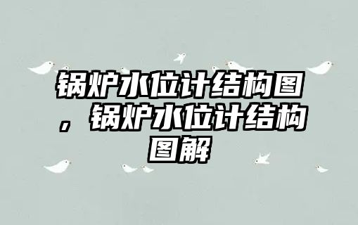 鍋爐水位計(jì)結(jié)構(gòu)圖，鍋爐水位計(jì)結(jié)構(gòu)圖解