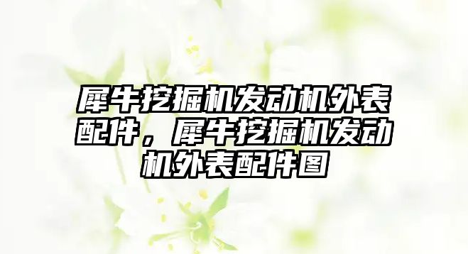 犀牛挖掘機發(fā)動機外表配件，犀牛挖掘機發(fā)動機外表配件圖