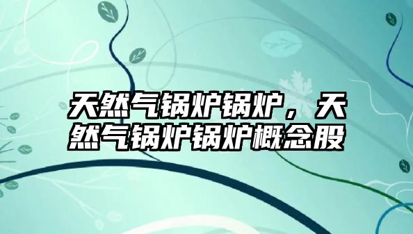 天然氣鍋爐鍋爐，天然氣鍋爐鍋爐概念股