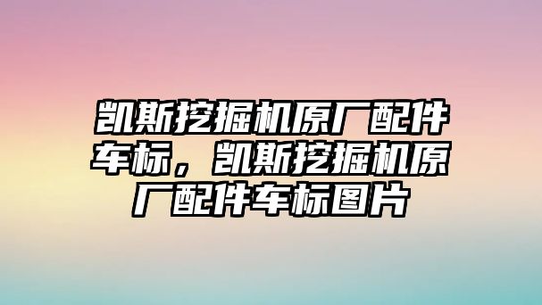 凱斯挖掘機(jī)原廠配件車標(biāo)，凱斯挖掘機(jī)原廠配件車標(biāo)圖片