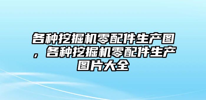 各種挖掘機(jī)零配件生產(chǎn)圖，各種挖掘機(jī)零配件生產(chǎn)圖片大全