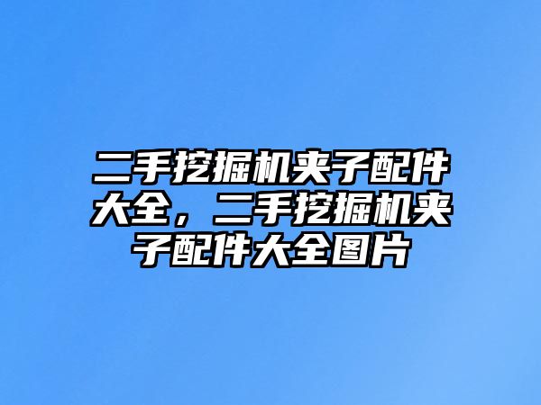 二手挖掘機(jī)夾子配件大全，二手挖掘機(jī)夾子配件大全圖片