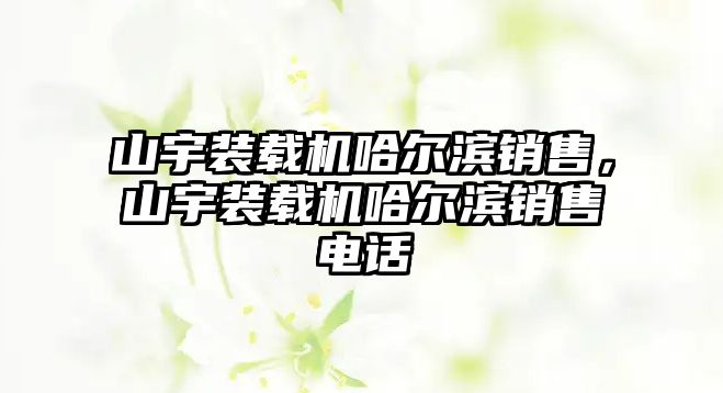 山宇裝載機哈爾濱銷售，山宇裝載機哈爾濱銷售電話