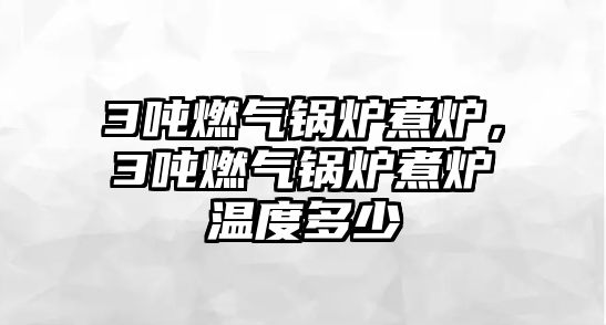 3噸燃?xì)忮仩t煮爐，3噸燃?xì)忮仩t煮爐溫度多少