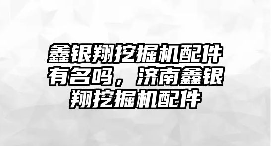 鑫銀翔挖掘機(jī)配件有名嗎，濟(jì)南鑫銀翔挖掘機(jī)配件