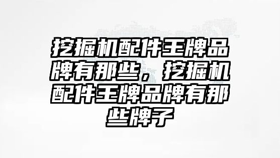 挖掘機(jī)配件王牌品牌有那些，挖掘機(jī)配件王牌品牌有那些牌子