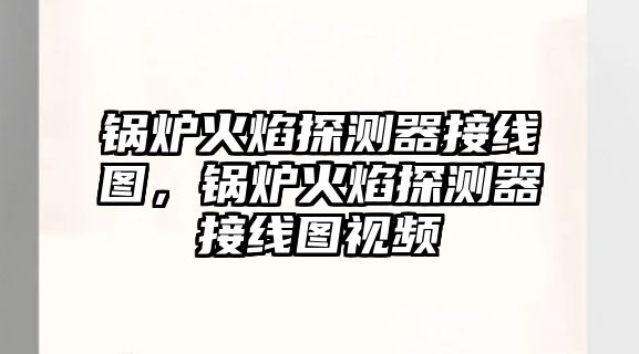 鍋爐火焰探測(cè)器接線圖，鍋爐火焰探測(cè)器接線圖視頻