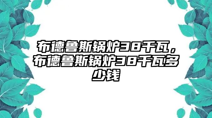 布德魯斯鍋爐38千瓦，布德魯斯鍋爐38千瓦多少錢