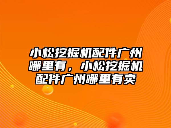 小松挖掘機配件廣州哪里有，小松挖掘機配件廣州哪里有賣