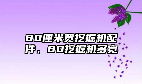 80厘米寬挖掘機配件，80挖掘機多寬