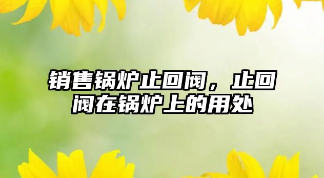 銷(xiāo)售鍋爐止回閥，止回閥在鍋爐上的用處