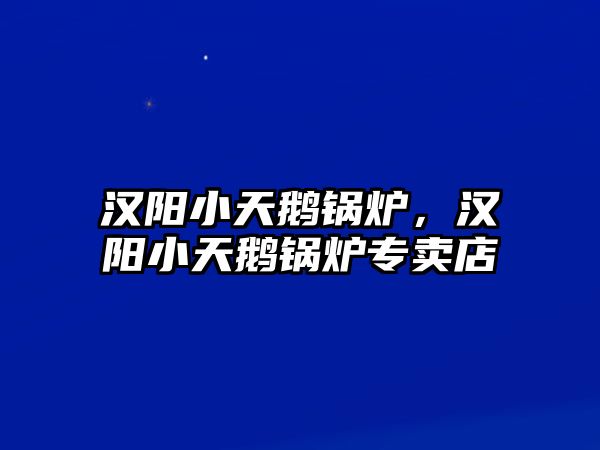 漢陽小天鵝鍋爐，漢陽小天鵝鍋爐專賣店