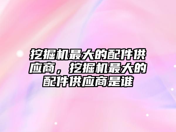 挖掘機最大的配件供應商，挖掘機最大的配件供應商是誰