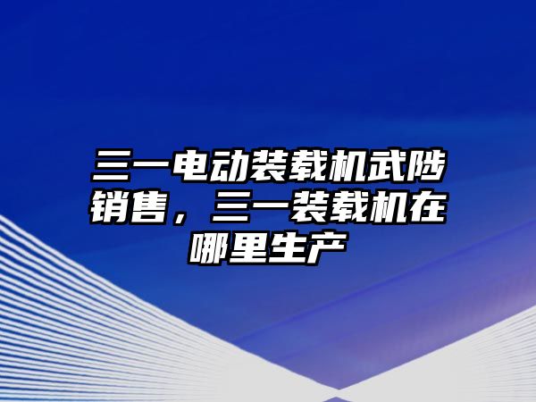 三一電動裝載機武陟銷售，三一裝載機在哪里生產(chǎn)