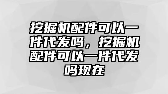 挖掘機配件可以一件代發(fā)嗎，挖掘機配件可以一件代發(fā)嗎現(xiàn)在