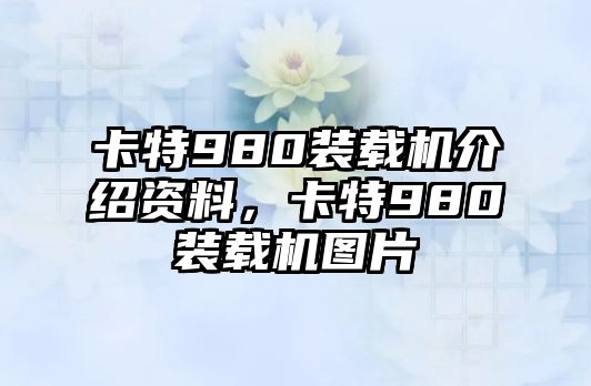 卡特980裝載機(jī)介紹資料，卡特980裝載機(jī)圖片