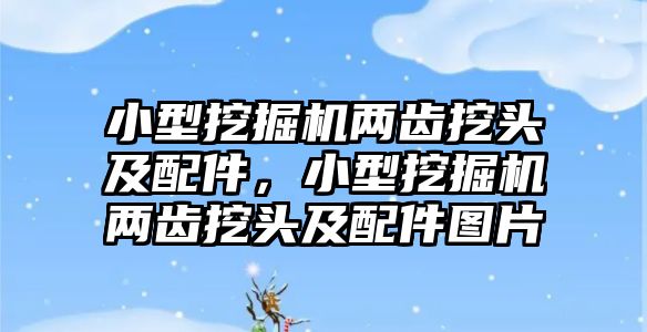 小型挖掘機(jī)兩齒挖頭及配件，小型挖掘機(jī)兩齒挖頭及配件圖片