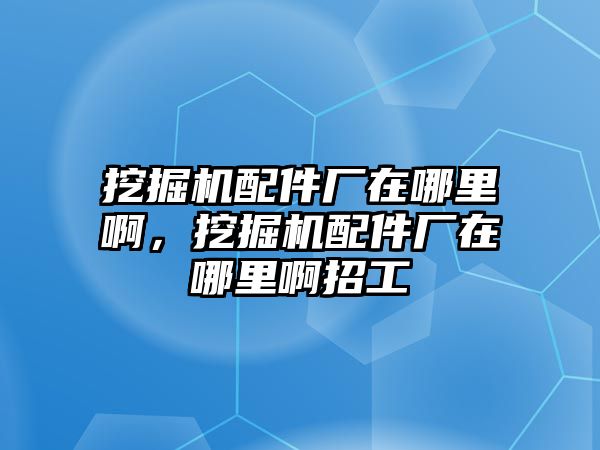 挖掘機(jī)配件廠在哪里啊，挖掘機(jī)配件廠在哪里啊招工