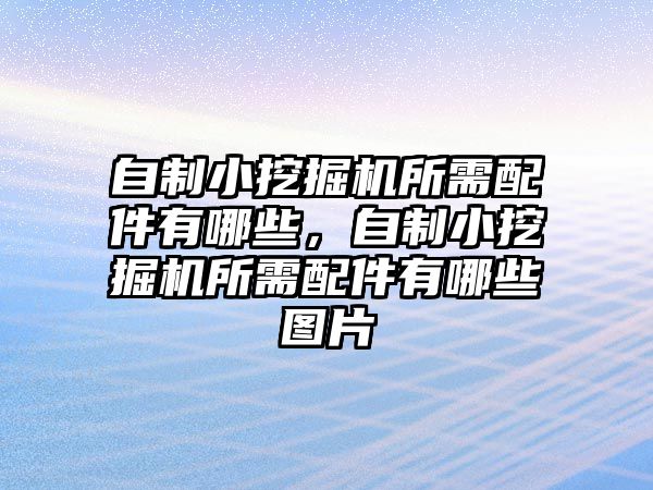 自制小挖掘機所需配件有哪些，自制小挖掘機所需配件有哪些圖片