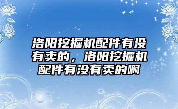 洛陽挖掘機(jī)配件有沒有賣的，洛陽挖掘機(jī)配件有沒有賣的啊