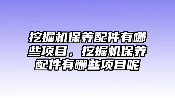 挖掘機(jī)保養(yǎng)配件有哪些項(xiàng)目，挖掘機(jī)保養(yǎng)配件有哪些項(xiàng)目呢