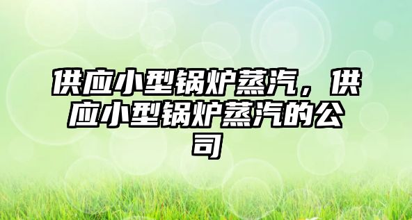 供應(yīng)小型鍋爐蒸汽，供應(yīng)小型鍋爐蒸汽的公司