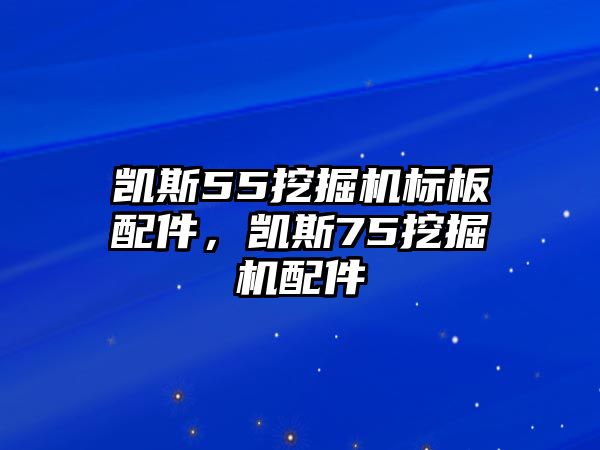 凱斯55挖掘機(jī)標(biāo)板配件，凱斯75挖掘機(jī)配件