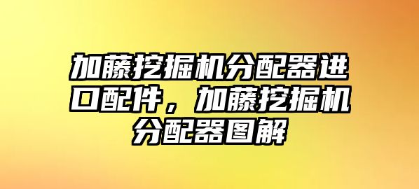 加藤挖掘機分配器進(jìn)口配件，加藤挖掘機分配器圖解