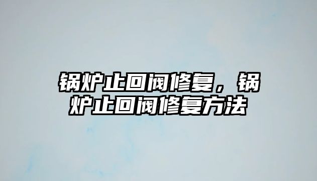 鍋爐止回閥修復(fù)，鍋爐止回閥修復(fù)方法