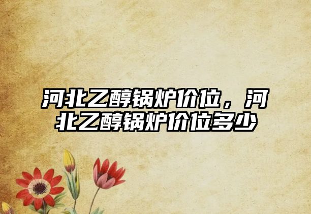 河北乙醇鍋爐價(jià)位，河北乙醇鍋爐價(jià)位多少