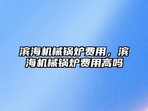 濱海機械鍋爐費用，濱海機械鍋爐費用高嗎