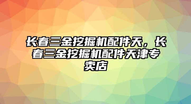 長春三金挖掘機配件天，長春三金挖掘機配件天津?qū)Ｙu店