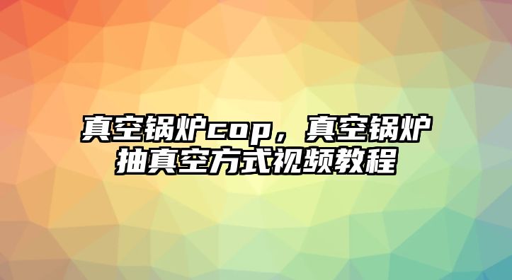 真空鍋爐cop，真空鍋爐抽真空方式視頻教程