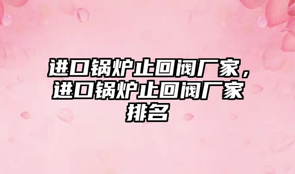 進(jìn)口鍋爐止回閥廠家，進(jìn)口鍋爐止回閥廠家排名