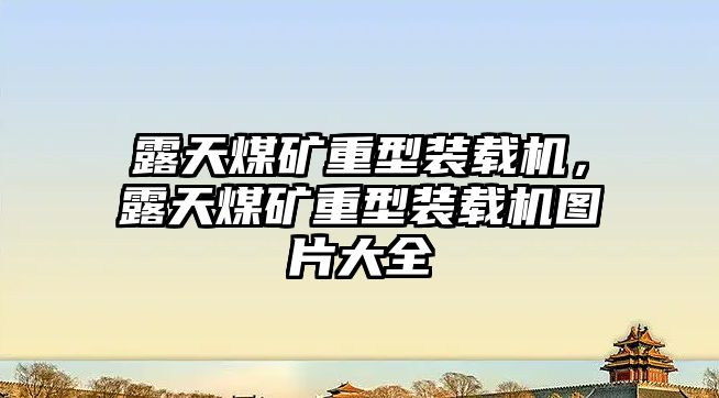 露天煤礦重型裝載機，露天煤礦重型裝載機圖片大全