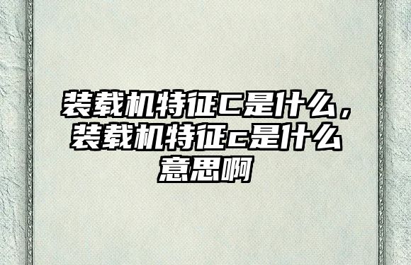 裝載機特征C是什么，裝載機特征c是什么意思啊