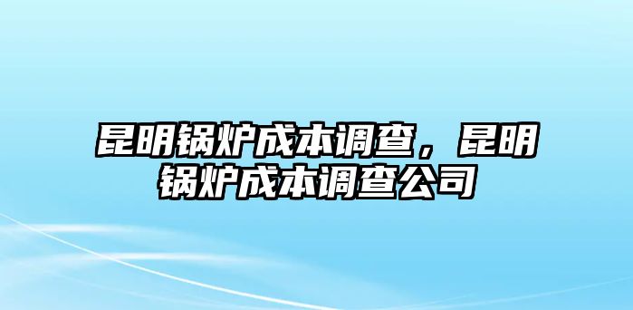 昆明鍋爐成本調(diào)查，昆明鍋爐成本調(diào)查公司