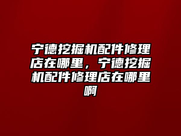 寧德挖掘機配件修理店在哪里，寧德挖掘機配件修理店在哪里啊