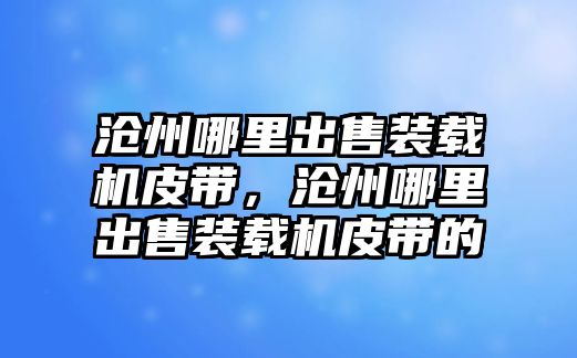 滄州哪里出售裝載機皮帶，滄州哪里出售裝載機皮帶的