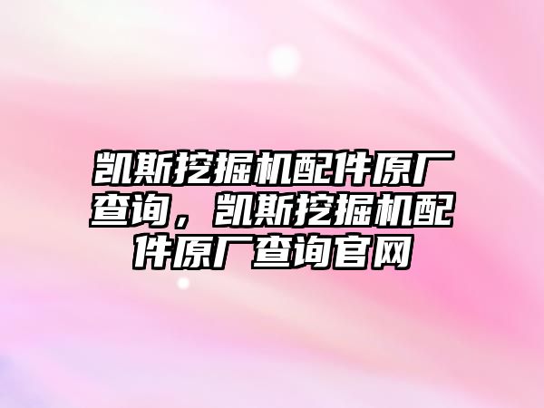 凱斯挖掘機(jī)配件原廠查詢，凱斯挖掘機(jī)配件原廠查詢官網(wǎng)