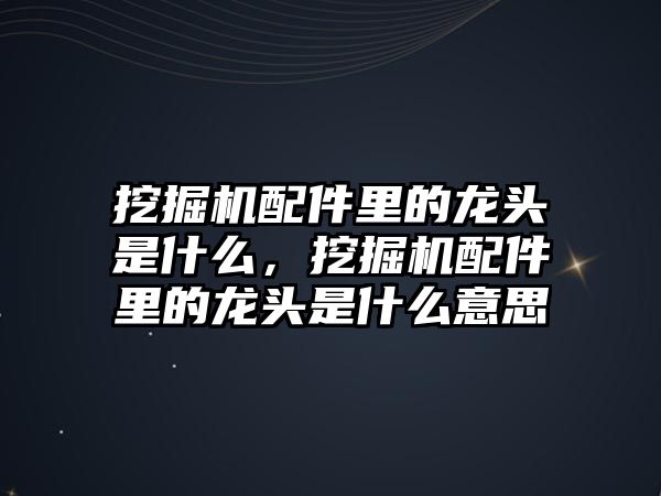 挖掘機(jī)配件里的龍頭是什么，挖掘機(jī)配件里的龍頭是什么意思