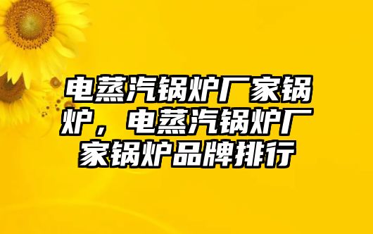 電蒸汽鍋爐廠家鍋爐，電蒸汽鍋爐廠家鍋爐品牌排行