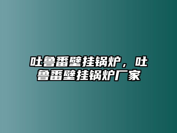 吐魯番壁掛鍋爐，吐魯番壁掛鍋爐廠家