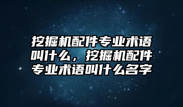 挖掘機(jī)配件專業(yè)術(shù)語叫什么，挖掘機(jī)配件專業(yè)術(shù)語叫什么名字